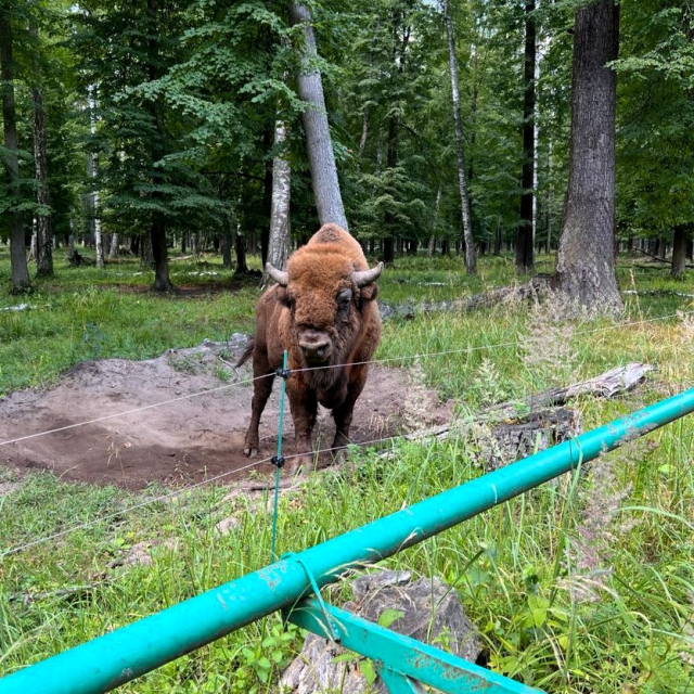 Приокско-Террасный заповедник