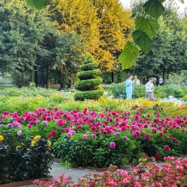 День рождения в парке Горького